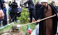 نهالکاری برای ایران مقتدر